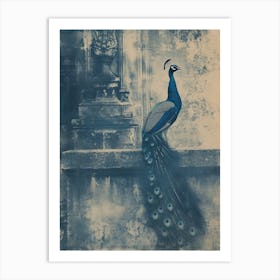 Peacock In A Church Abbey Cyanotype Inspired 1 Art Print