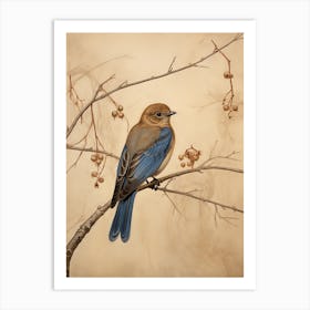 Dark And Moody Botanical Eastern Bluebird 2 Art Print