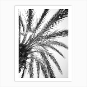 Black and white palmtree in Spain - summer botanical nature and travel photography by Christa Stroo Photography Art Print