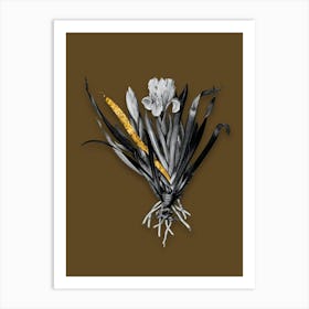 Vintage Crimean Iris Black and White Gold Leaf Floral Art on Coffee Brown n.0697 Art Print
