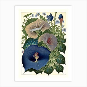 Morning Glory 3 Floral Botanical Vintage Poster Flower Art Print