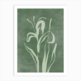 Irises Art Print