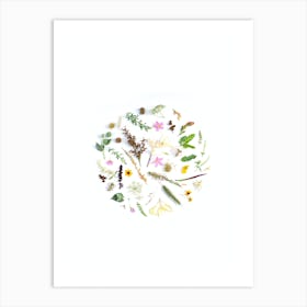 Wildflowers Art Print