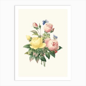 Antique Vintage Flower Illustration - Roses Pink Yellow Art Print