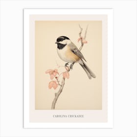 Vintage Bird Drawing Carolina Chickadee 1 Poster Art Print