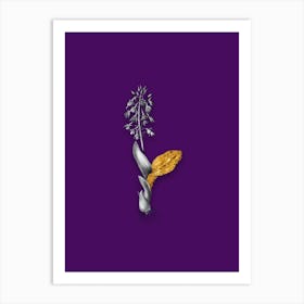 Vintage Brown Widelip Orchid Black and White Gold Leaf Floral Art on Deep Violet n.0711 Art Print