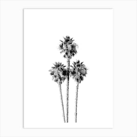 Palm Tree Trinity Summertime Black and White Minimalist Boho Art Print Art Print