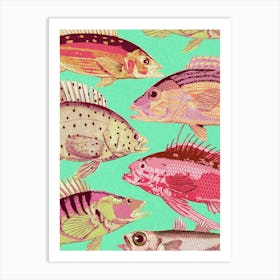 Colorful Fishes Art Print