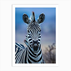 Zebra 1 Art Print