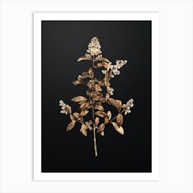 Gold Botanical Wild Privet on Wrought Iron Black n.4490 Art Print