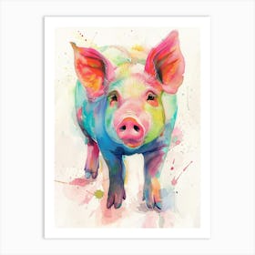 Pig Colourful Watercolour 4 Art Print