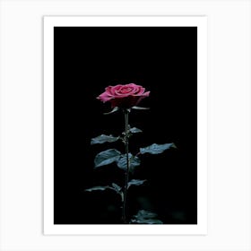 Black Rose 20 Art Print