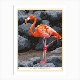 Greater Flamingo Galapagos Islands Ecuador Tropical Illustration 2 Poster Art Print