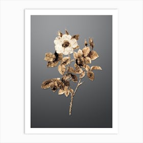 Gold Botanical Twin Flowered White Rose on Soft Gray n.0869 Art Print