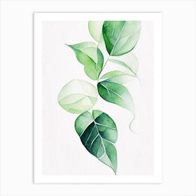 Wintergreen Leaf Minimalist Watercolour 4 Art Print