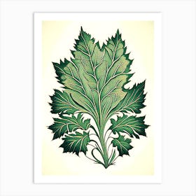 Skullcap Leaf Vintage Botanical 1 Art Print