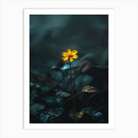 Single Yellow Flower 43 Art Print