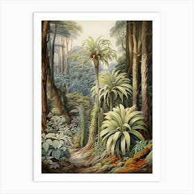 Vintage Jungle Botanical Illustration Cordyline 1 Art Print