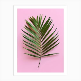 Palm Leaf On Pink Background 9 Art Print