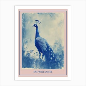 Peacock In The Wild Cyanotype Inspired 5 Poster Art Print