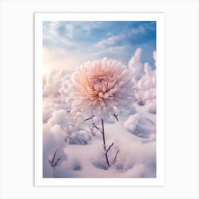 Beautiful Winter Flowers 34 Art Print