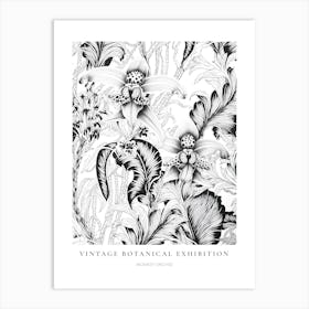 Monkey Orchid B&W Vintage Botanical Poster Art Print