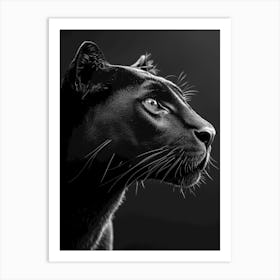 Panther Portrait Art Print