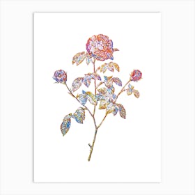 Stained Glass Agatha Rose in Bloom Mosaic Botanical Illustration on White n.0007 Art Print