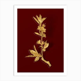 Vintage Pink Flower Branch Botanical in Gold on Red n.0312 Art Print