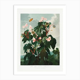 Vintage Botanical Temple Of Flora _2476838 Art Print