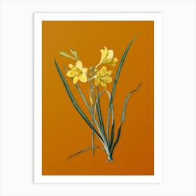 Vintage Daylily Botanical on Sunset Orange n.0030 Art Print