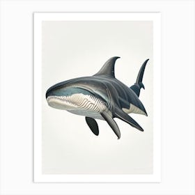 Basking Shark Vintage Art Print