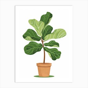 Fig Tree In Pot 1 Art Print