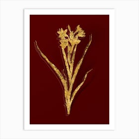 Vintage Sword Lily Botanical in Gold on Red Art Print