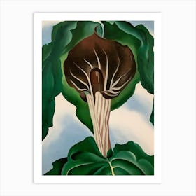 Georgia O'Keeffe - Jack-in-the-Pulpit No. 3, 1930 Art Print