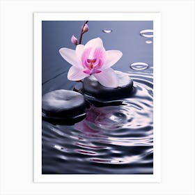 Orchid Flower In Water Art Print