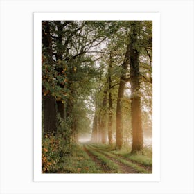 Misty Morning Walking Path Art Print