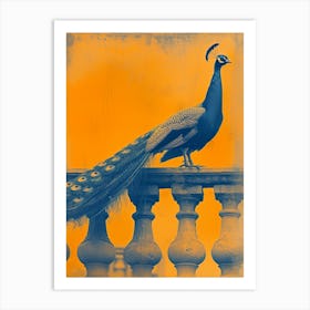 Orange & Blue Peacock On A Stone Balcony 2 Art Print