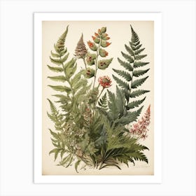 Painted Fern Wildflower Vintage Botanical Art Print 1 Art Print