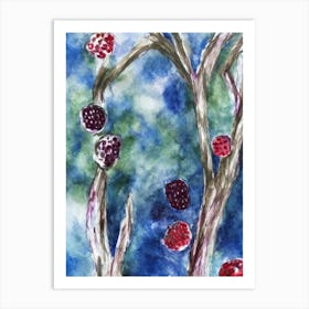 Raspberry Classic Fruit Art Print