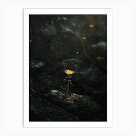 Flower In The Dark 38 Art Print