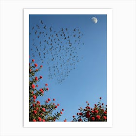 Birds In The Sky Art Print