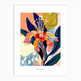 Colourful Flower Illustration Poster Bergamot 4 Art Print