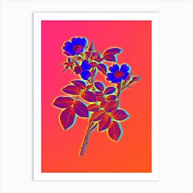 Neon Short Styled Field Rose Botanical in Hot Pink and Electric Blue n.0042 Art Print
