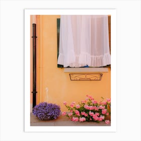 Italian Window And Flowers Art Print
