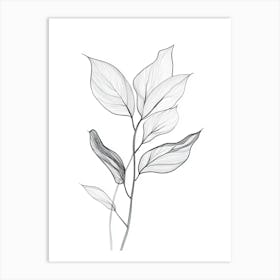 Leaves Of A Plant Art Print