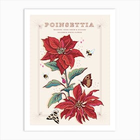 December Birth Flower Poinsettia On Cream Art Print