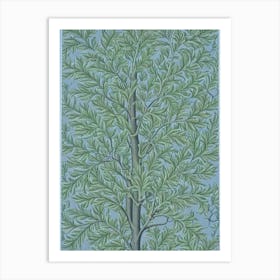 American Elm 2 tree Vintage Botanical Art Print