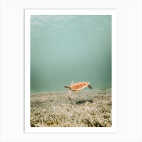 Sea Turtle On Ocean Floor Art Print