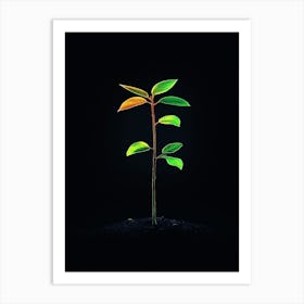 Green Leaf On A Black Background Art Print